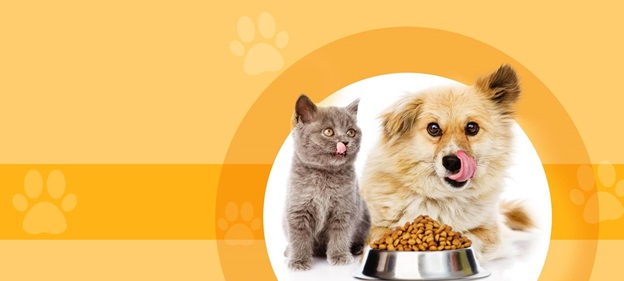 Best Pet Supplies to Ensure a Healthy And Happy Pet 