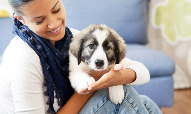 Tips To Treat Your Pets Healthily with Best Care