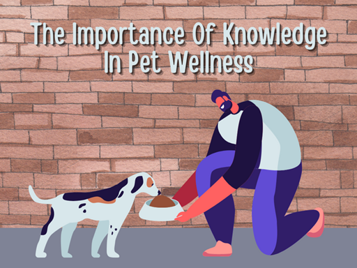Pet Wellness 101 – Understanding Pet Wellness Care Services