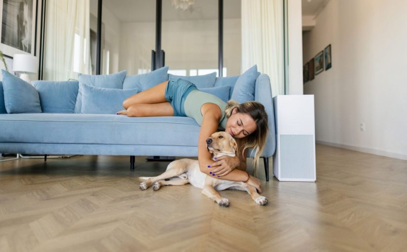 From Cat Dander to Dog Odor: The Best Air Purifier Solutions Every Pet Parent Needs